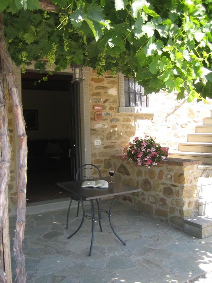 Agriturismo L'Incrociata Bucine Luaran gambar